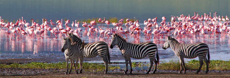 voyage en Tanzanie